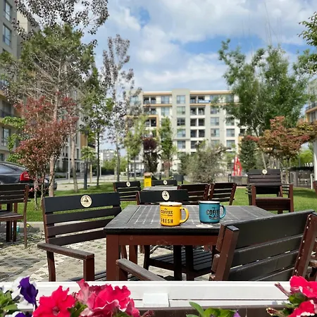 Ame Summer - Onix Blue Mamaia Nord Navodari