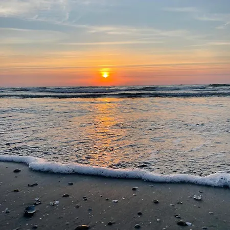 Ame Summer - Onix Blue Mamaia Nord