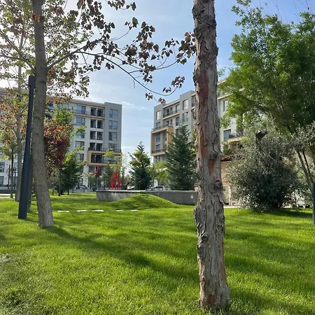 Apartment Ame Summer - Onix Blue Mamaia Nord
